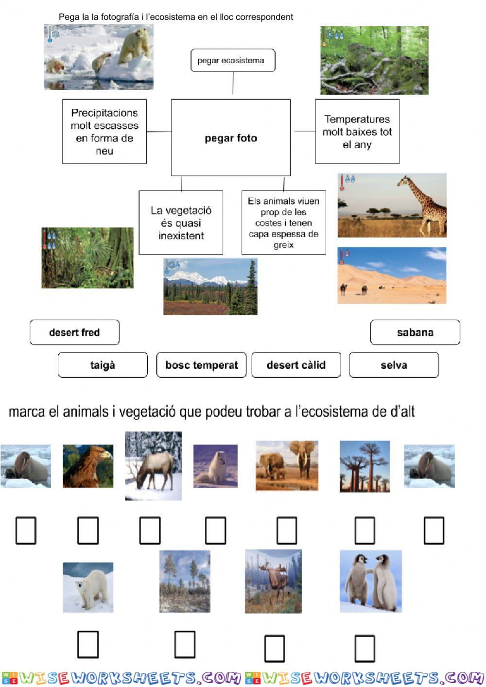 Ecosistemas 1