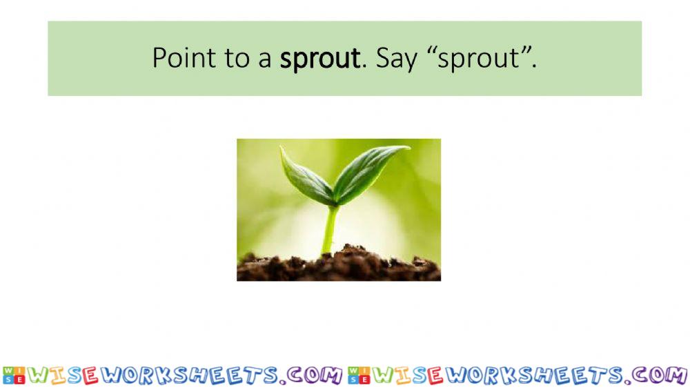 worksheet