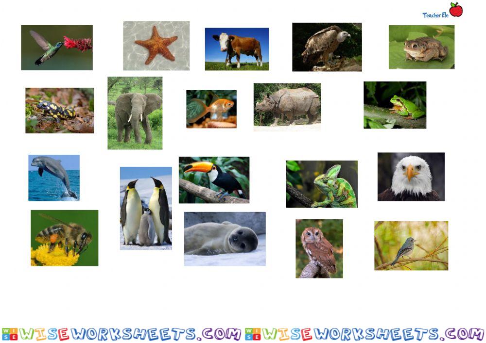 worksheet