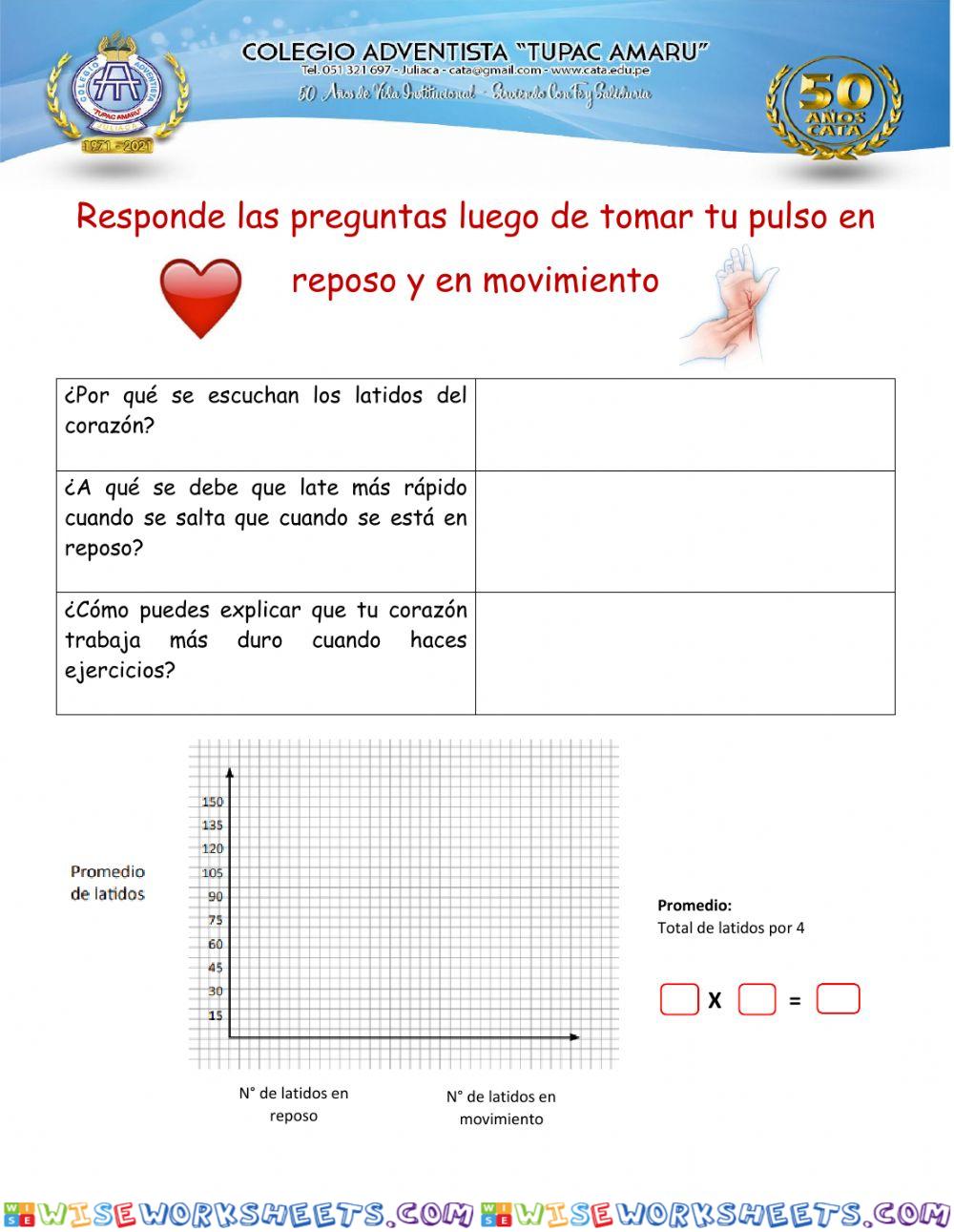Circulación