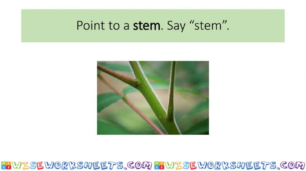 worksheet