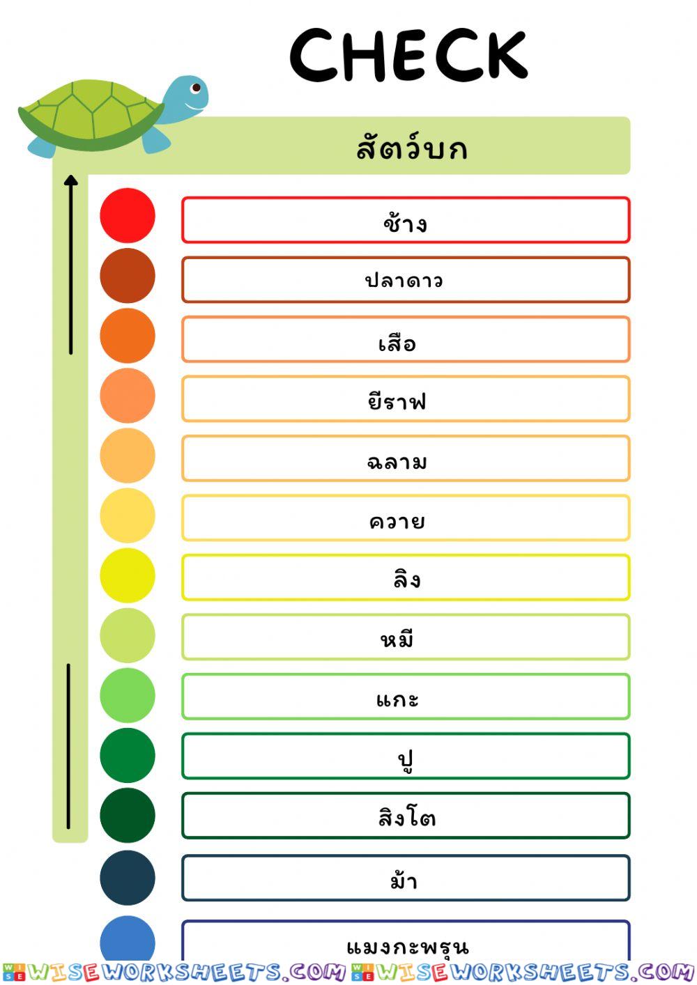 worksheet