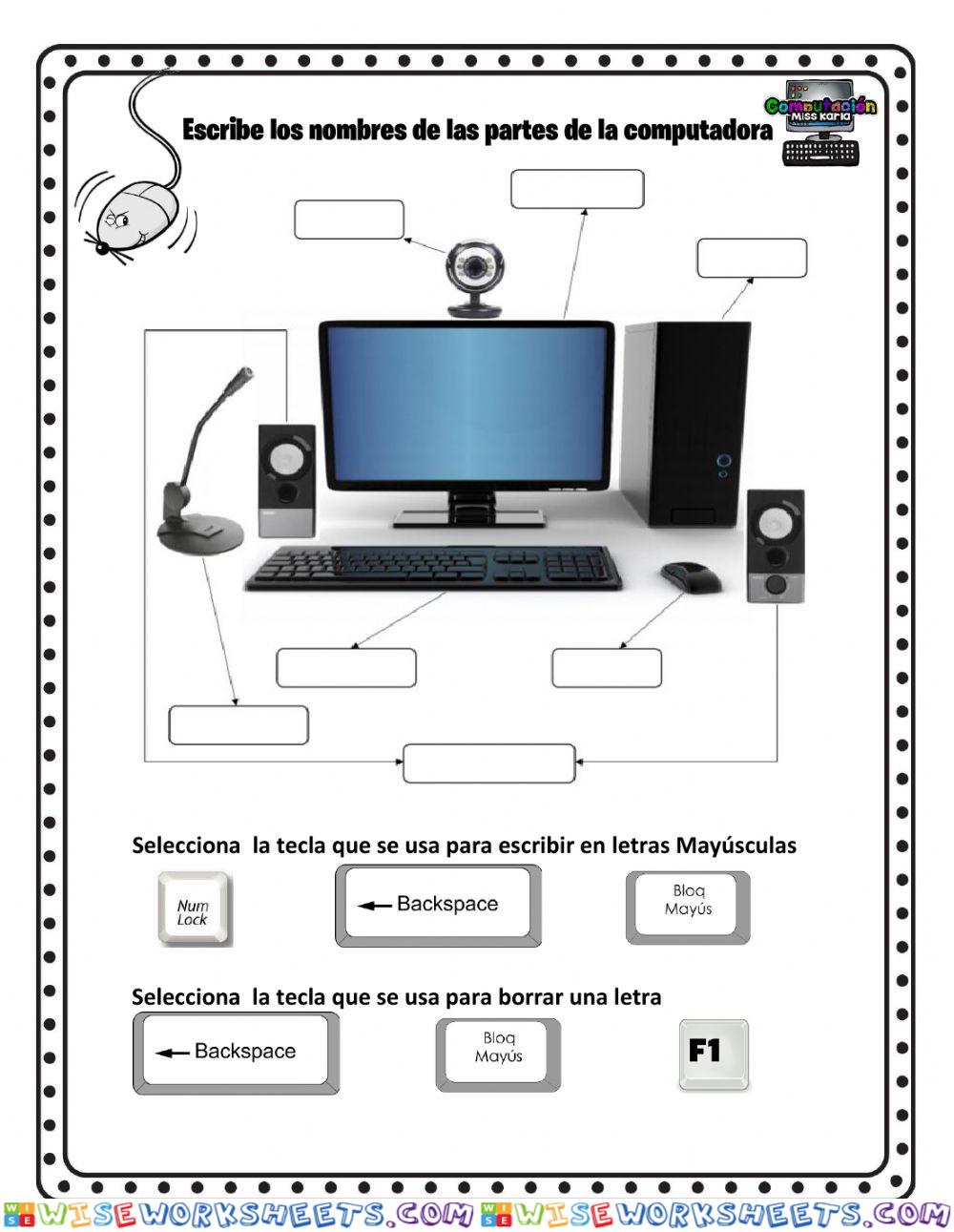 Partes de la computadora