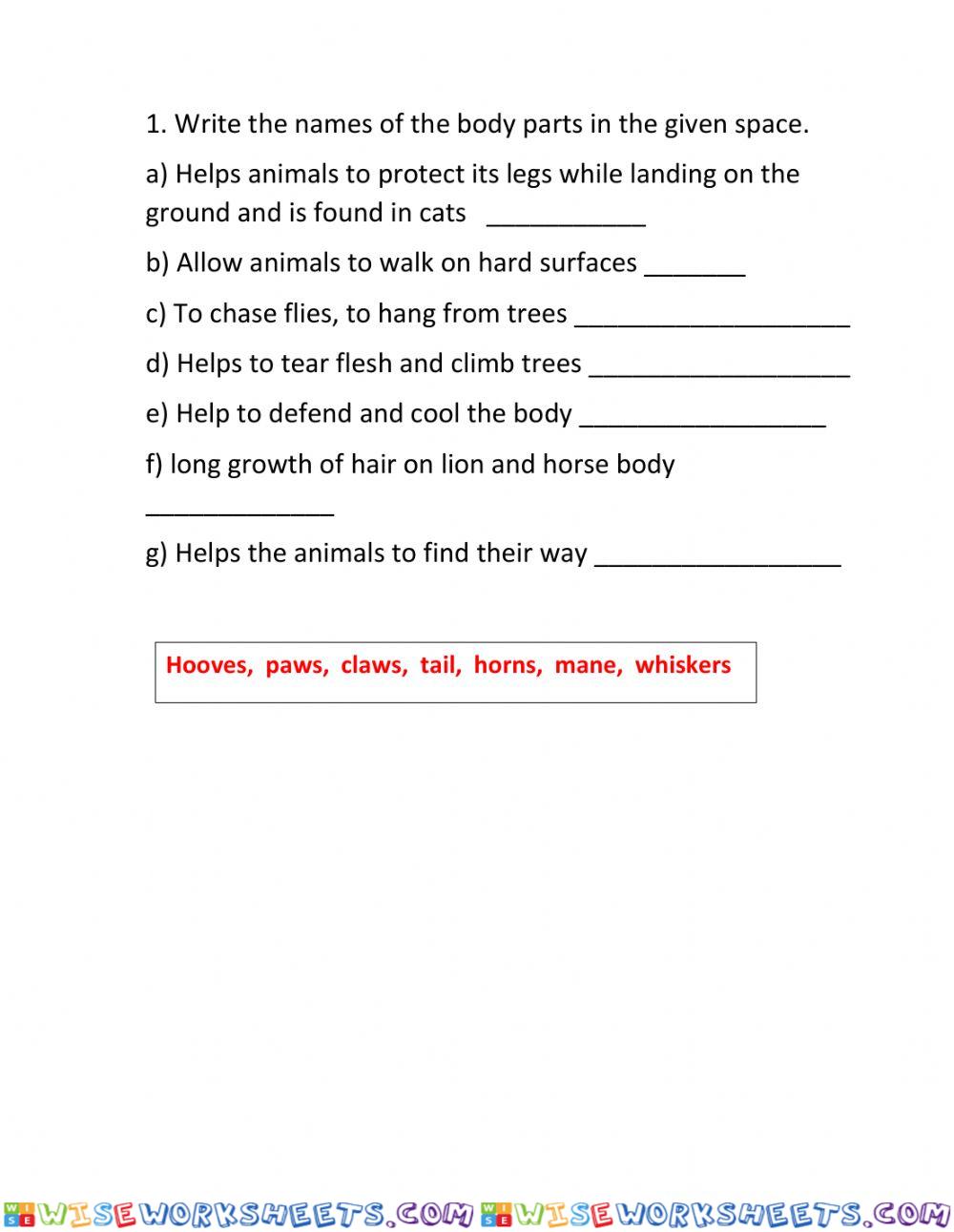 worksheet