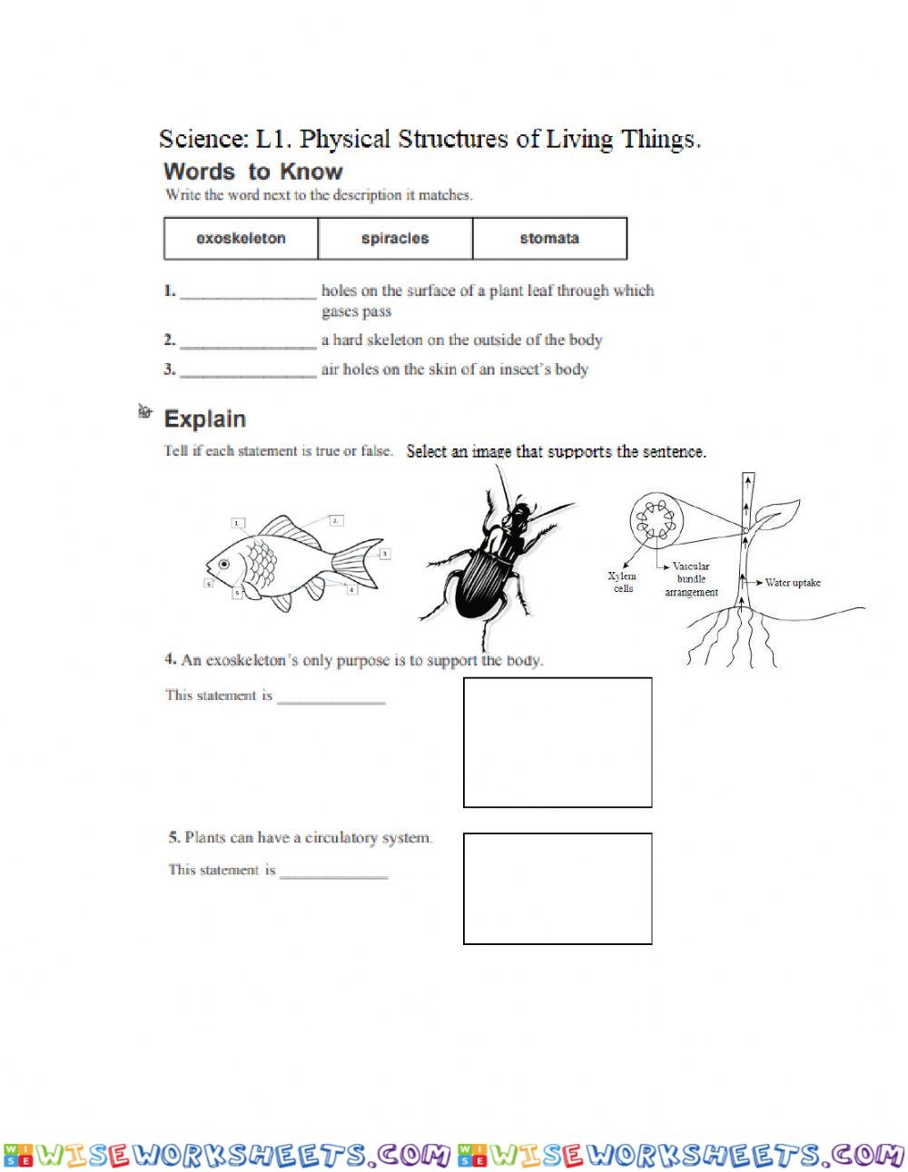 Science: L.1 Physical Structures in Living Things.