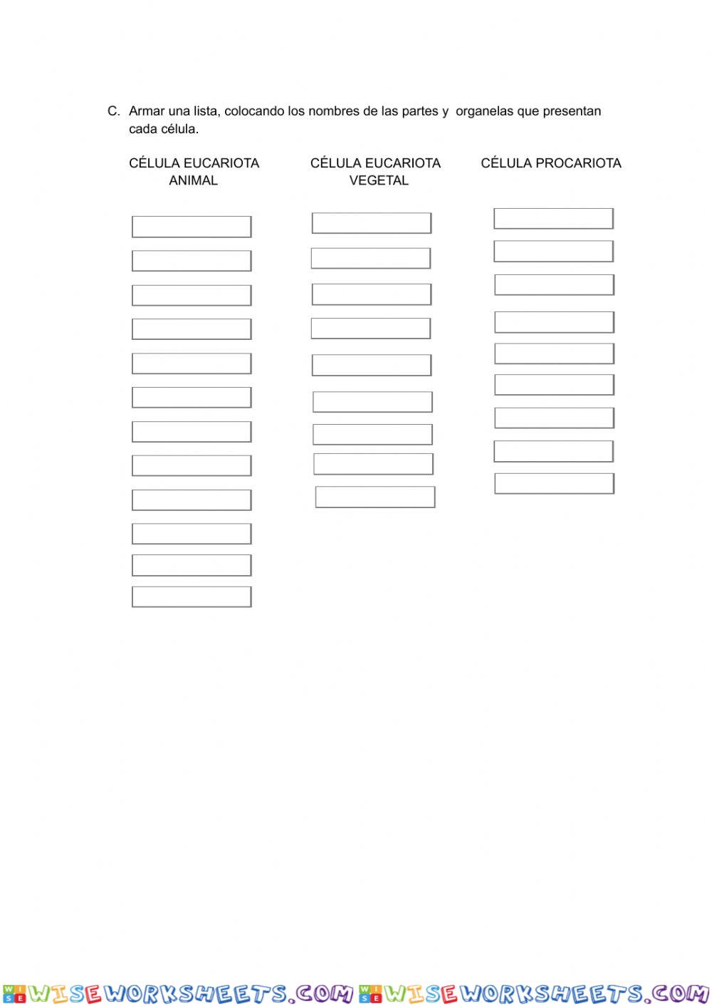 worksheet