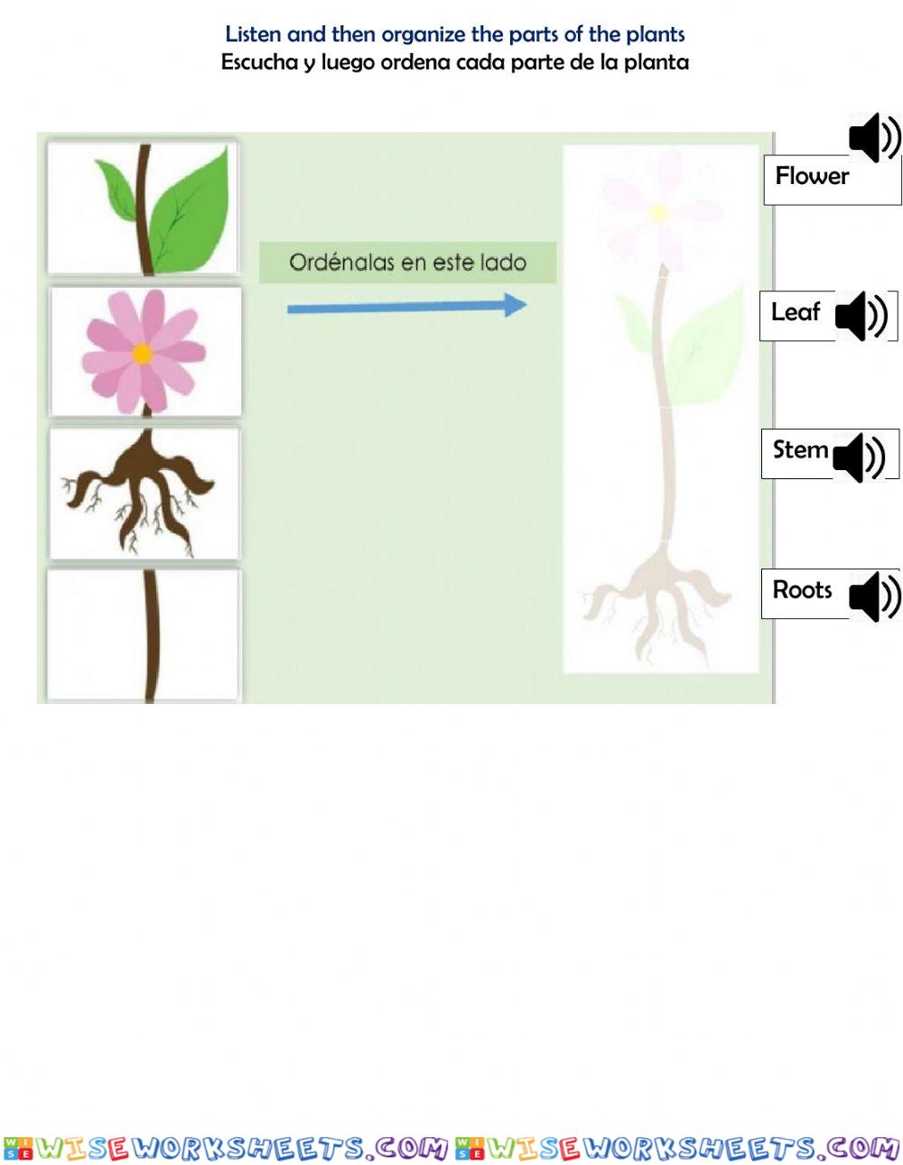 worksheet