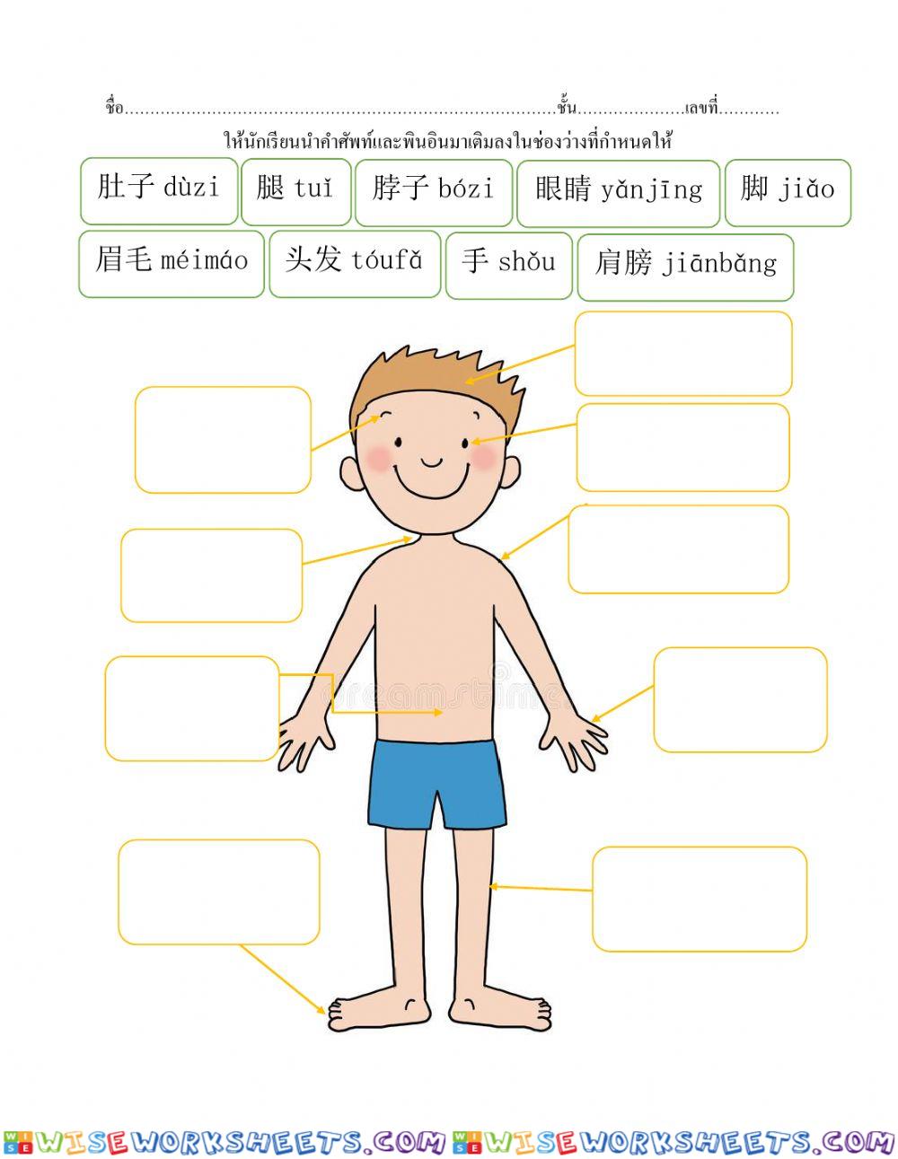 Body part