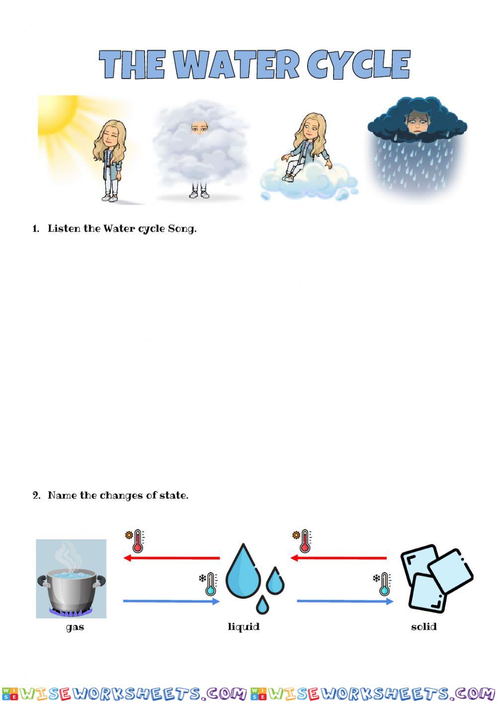 The Water Cycle