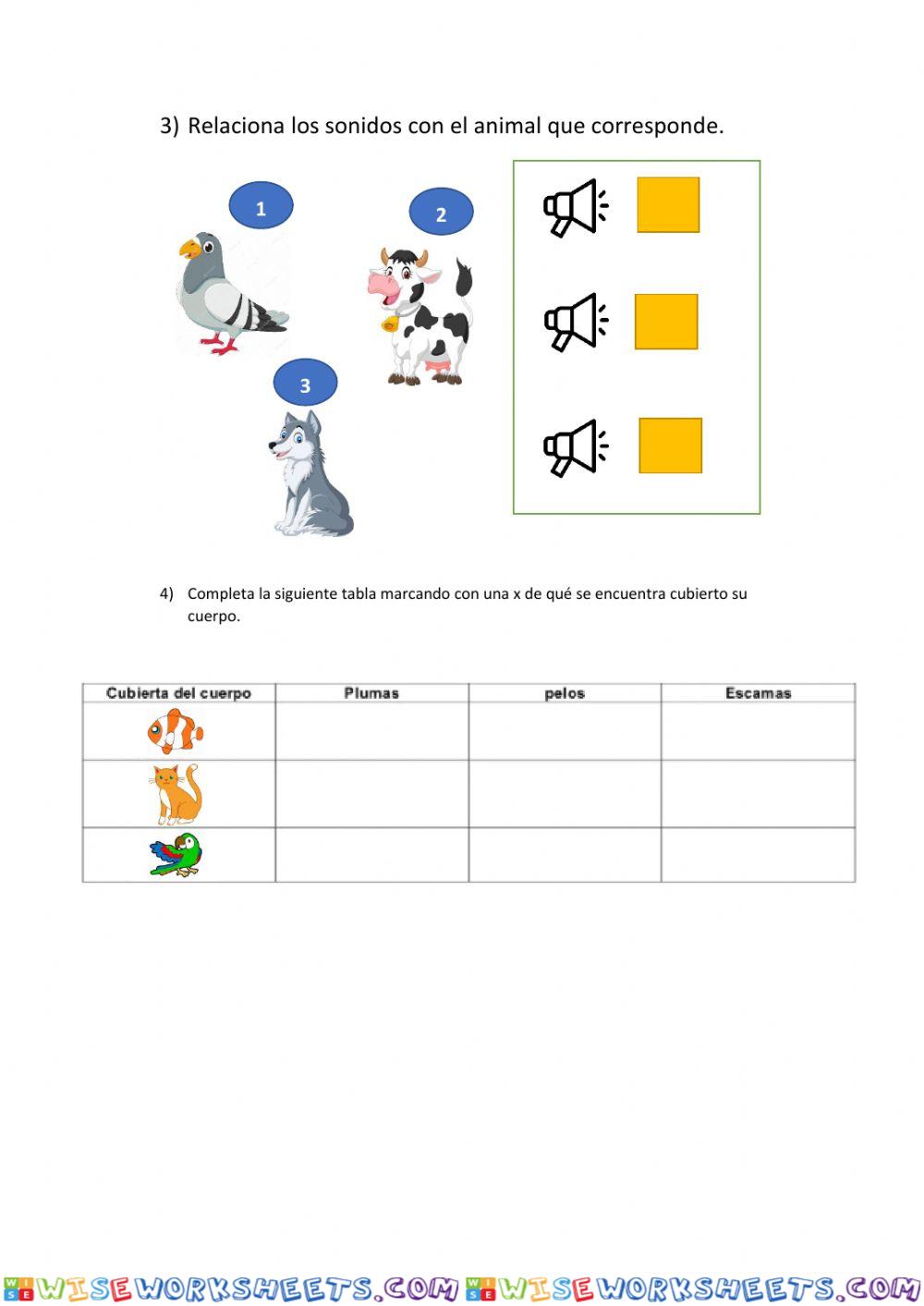 worksheet