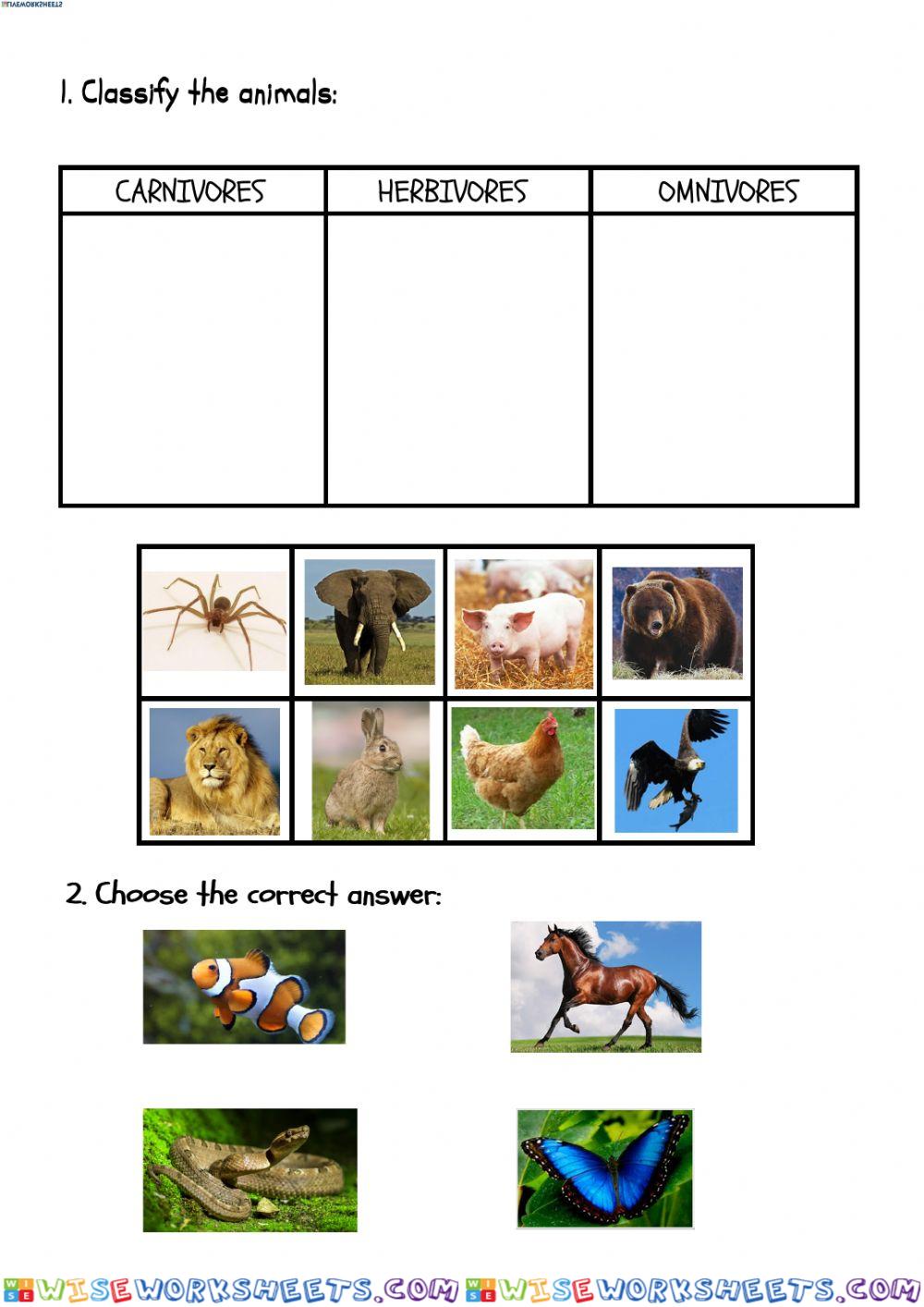 worksheet