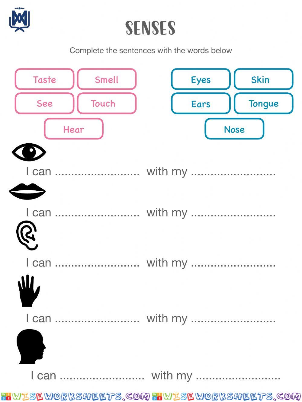 Senses