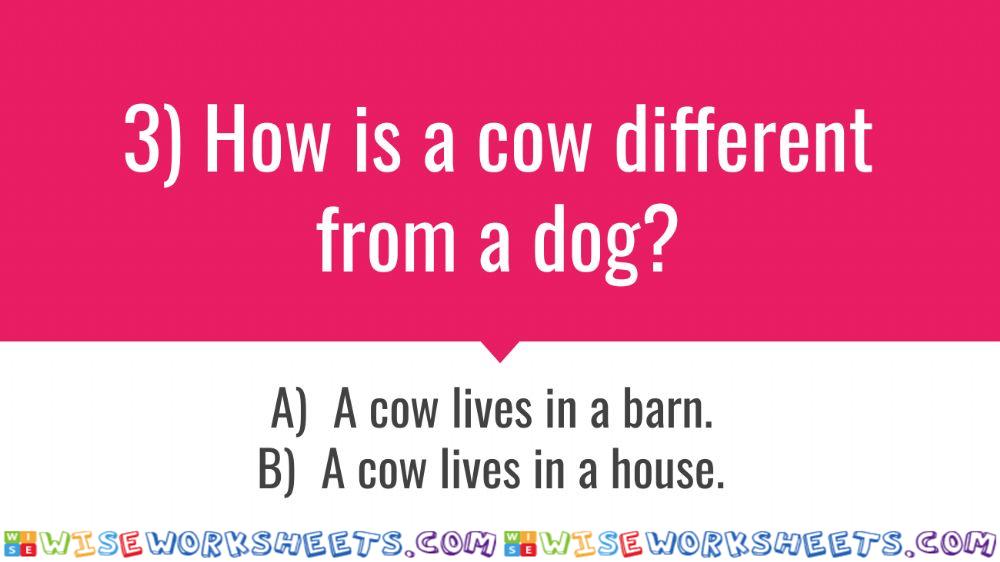 worksheet