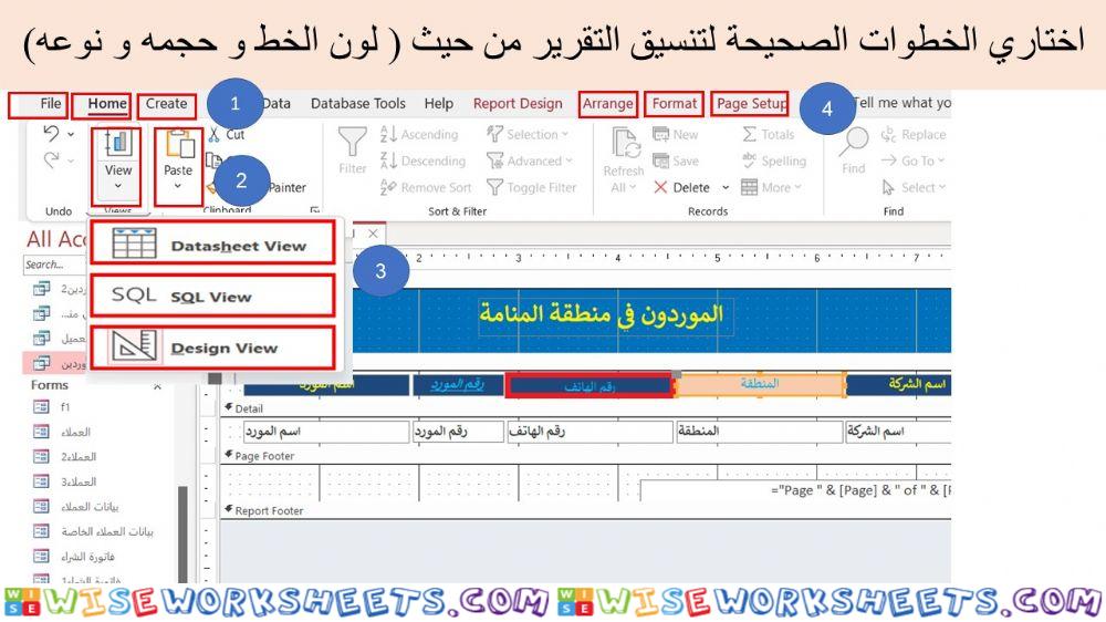 تنسيق التقارير2