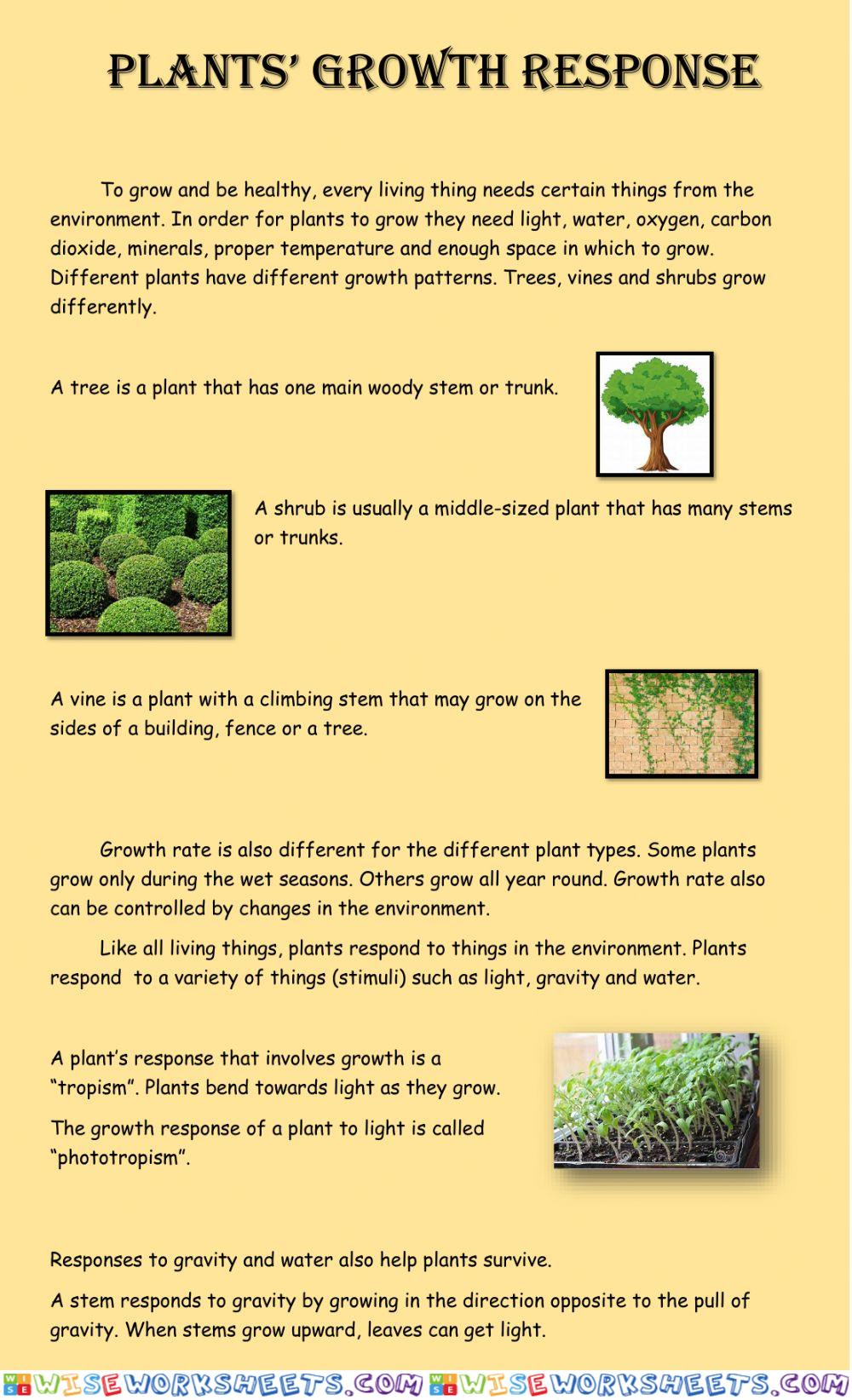 Plant Growth and Response