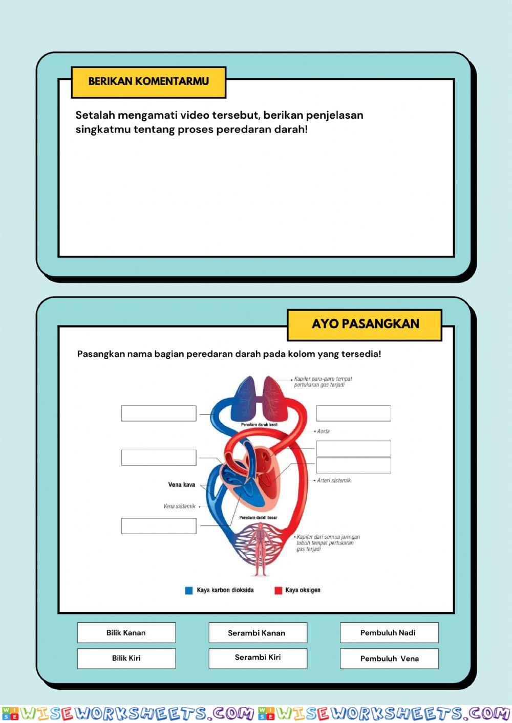 worksheet