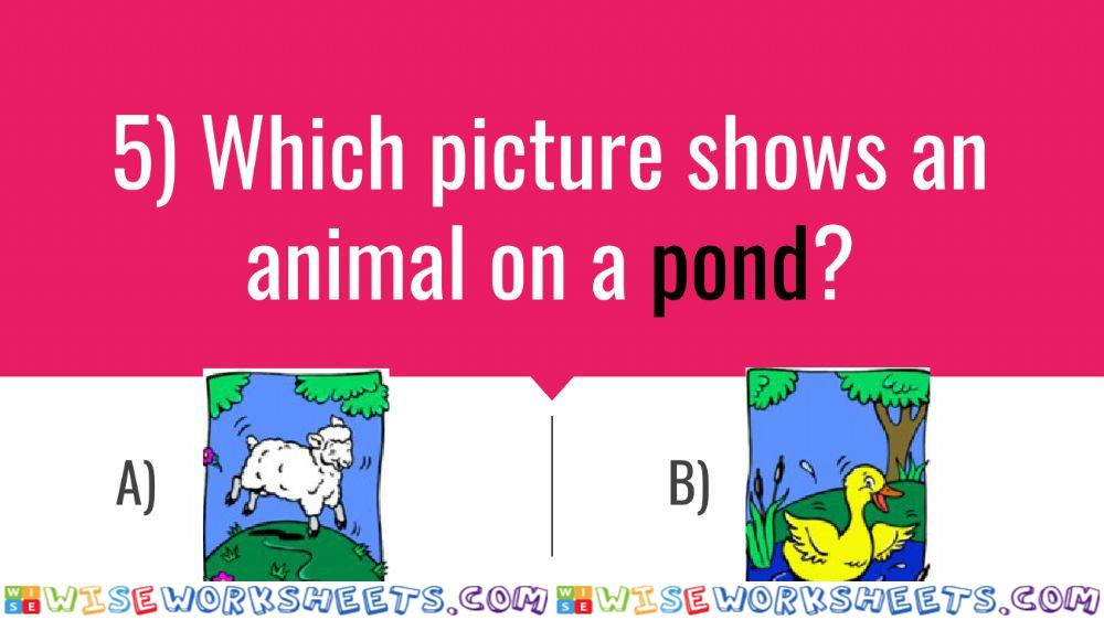 worksheet