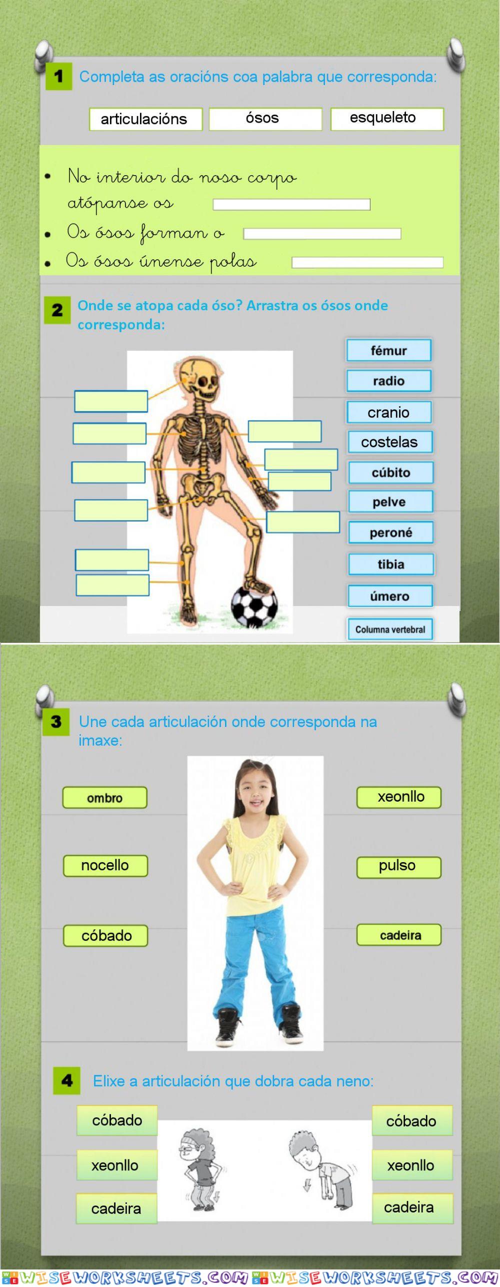 Aparello locomotor