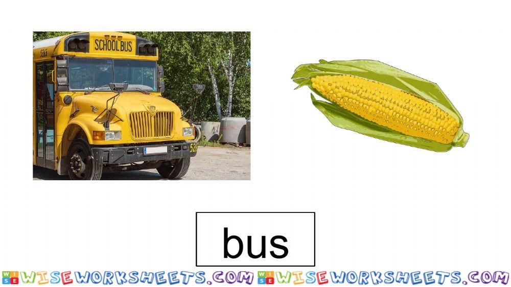 worksheet