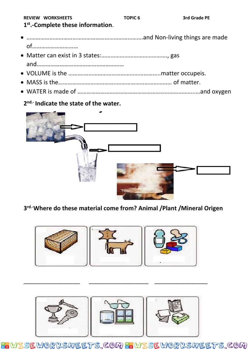 worksheet