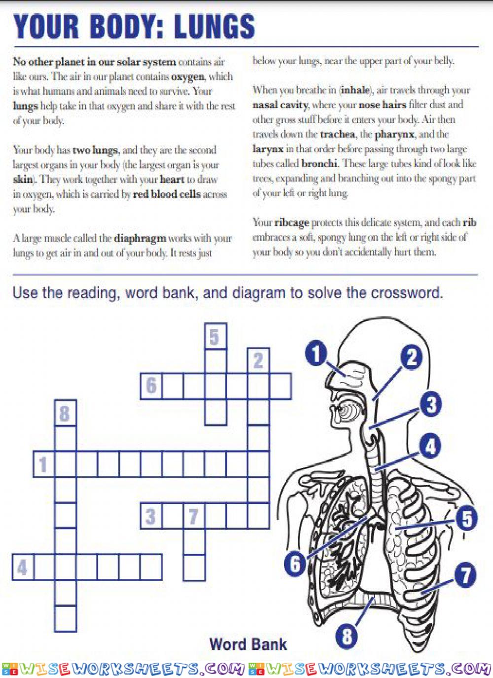 worksheet