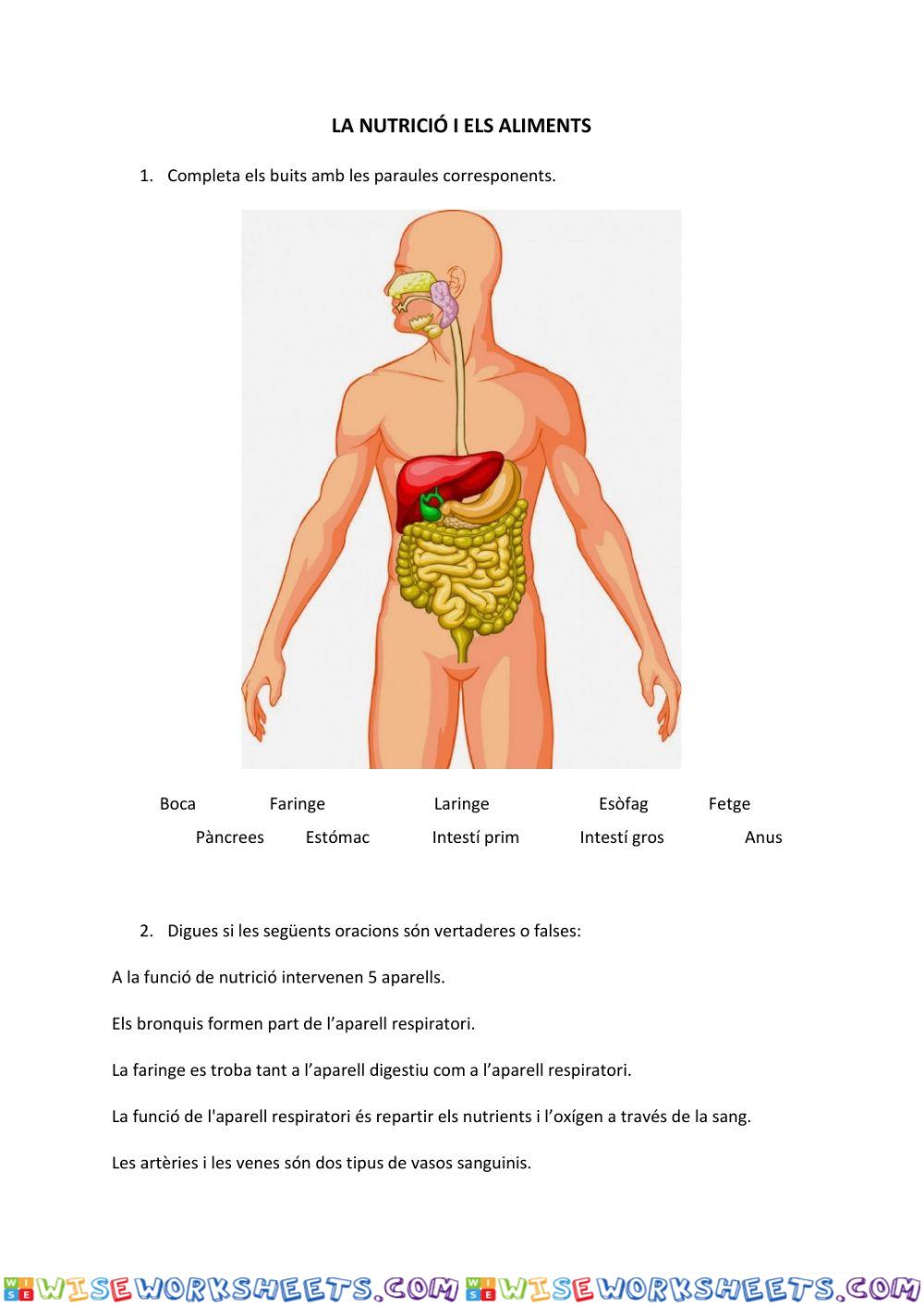 La nutrició