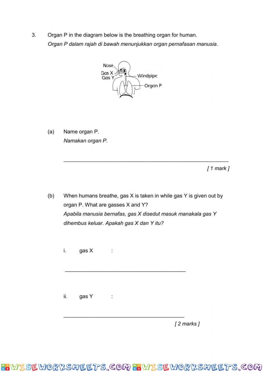 worksheet