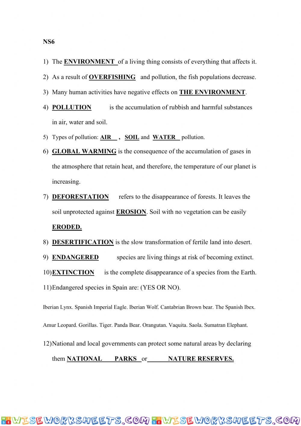 worksheet