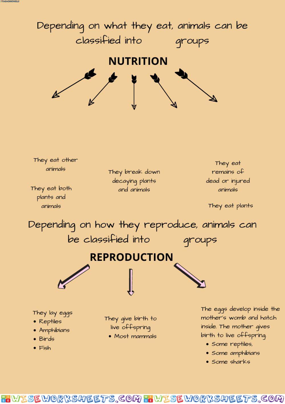 Vertebrates