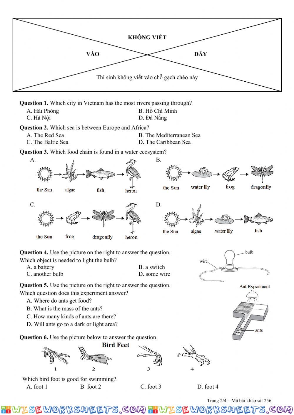 worksheet