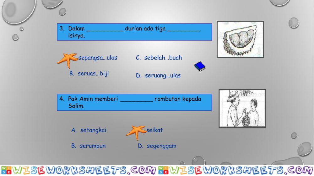 worksheet