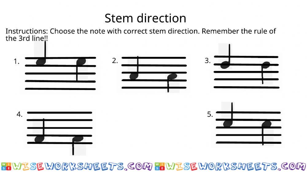 Stem direction worksheet