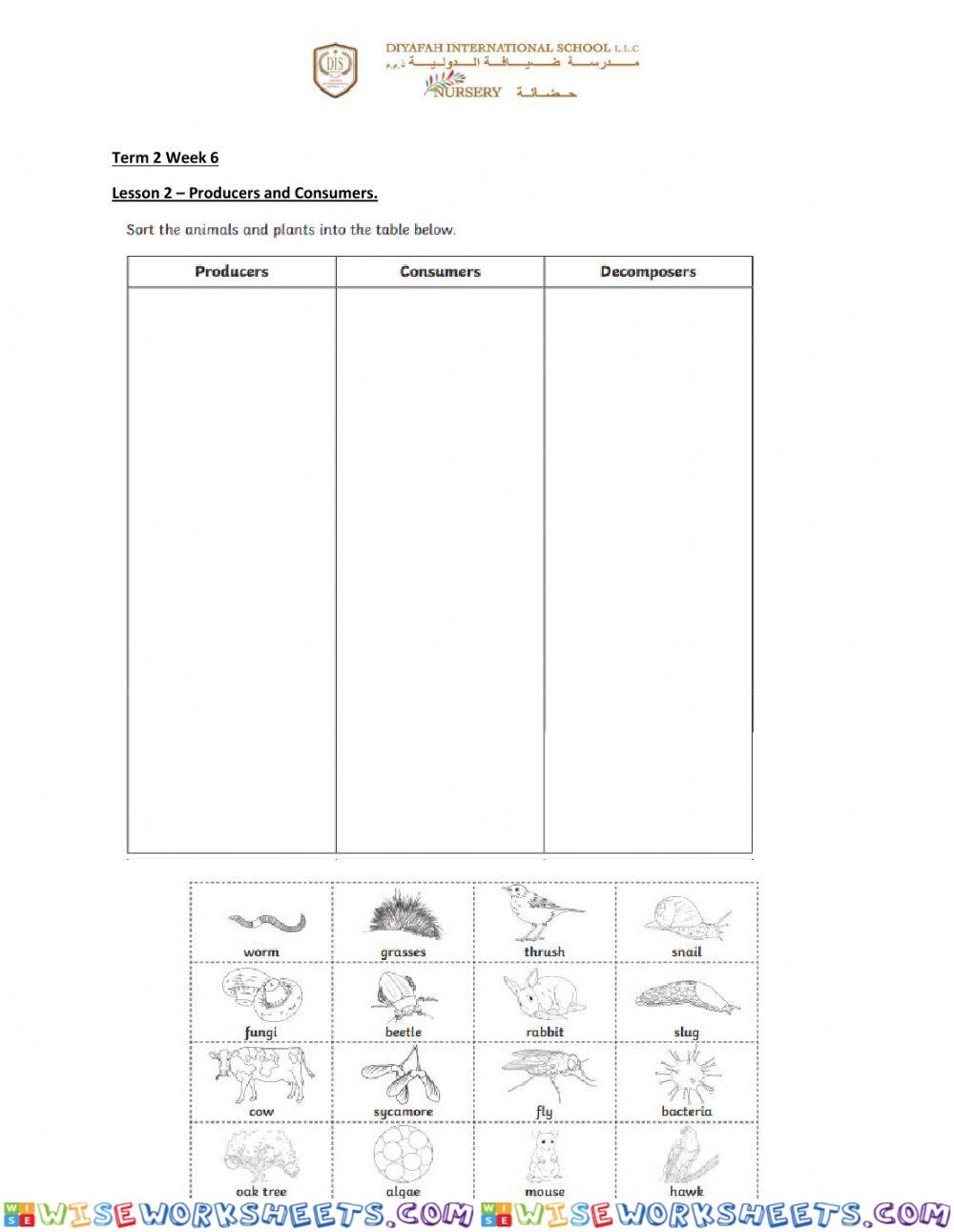 Science week 6 lesson 1