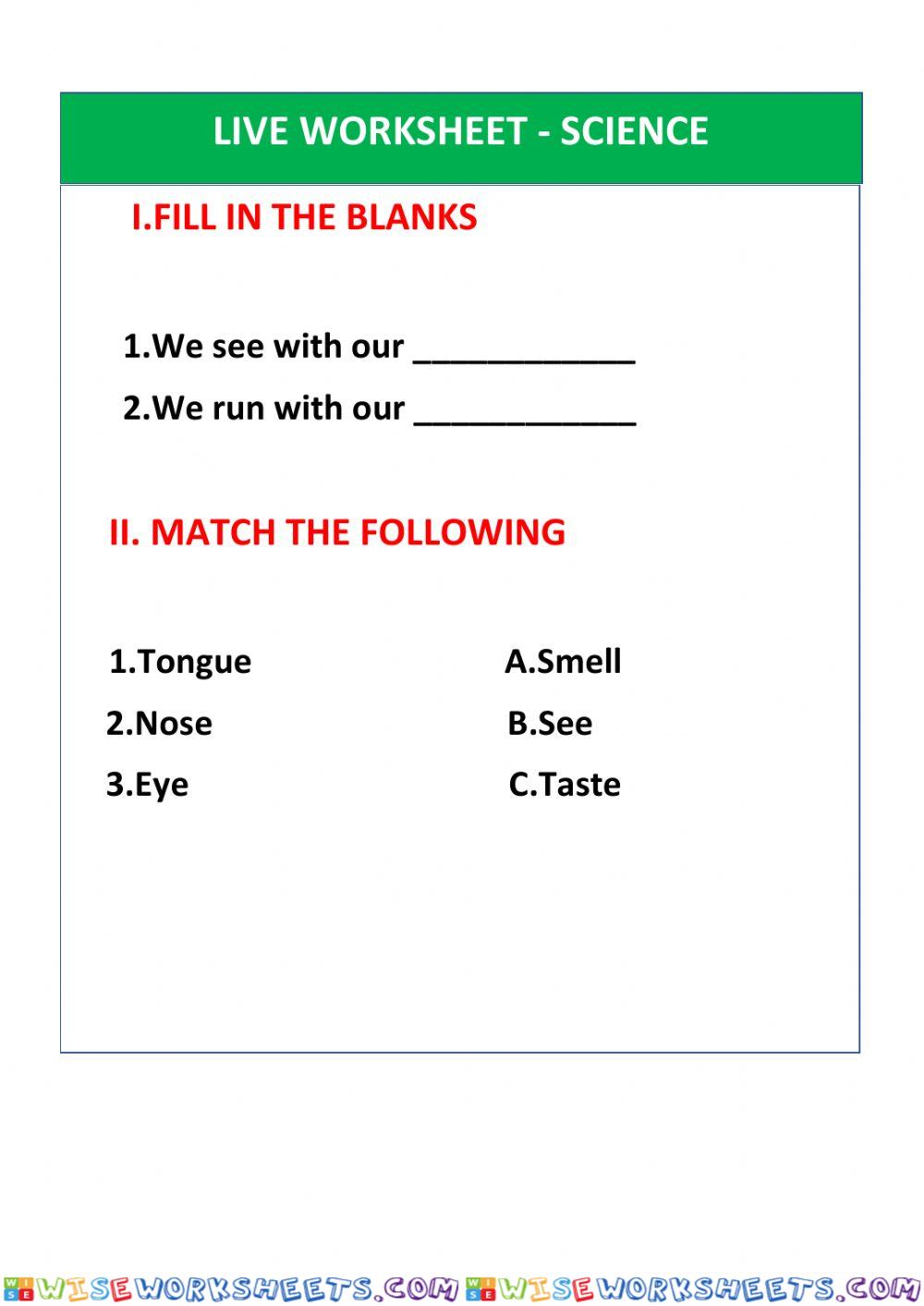 worksheet