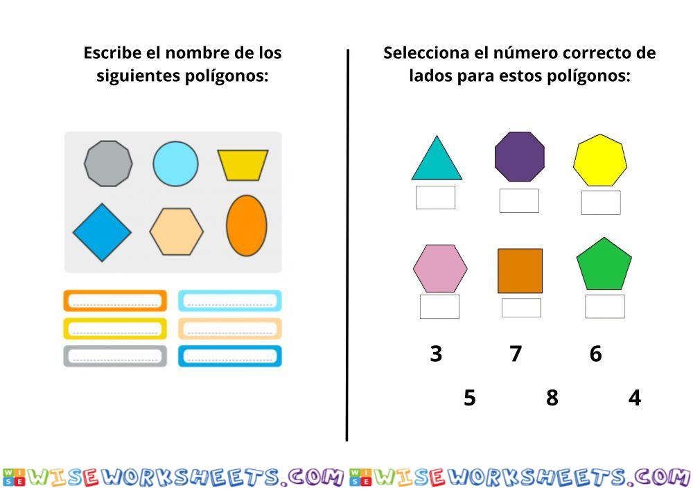 Los polígonos