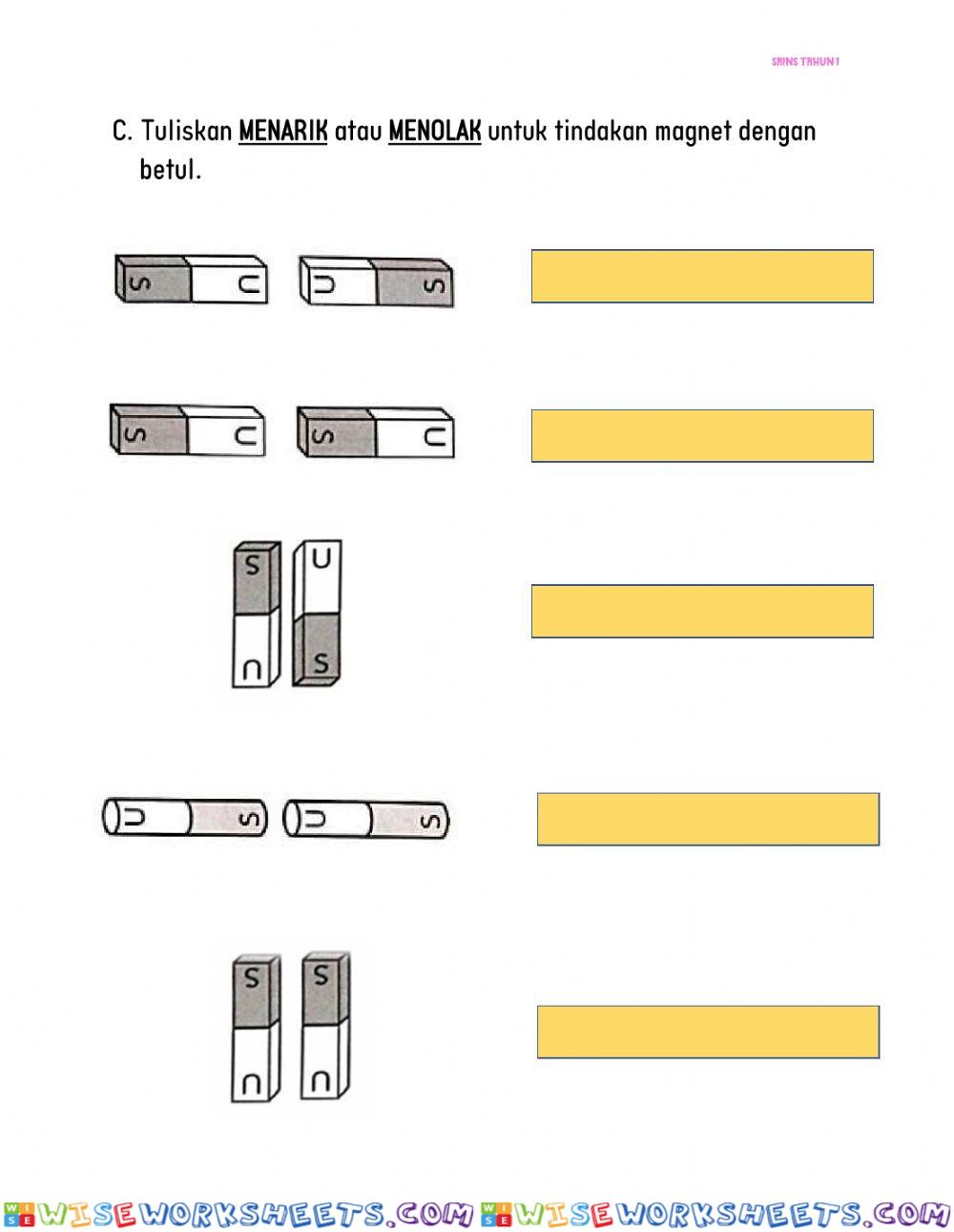 Magnet