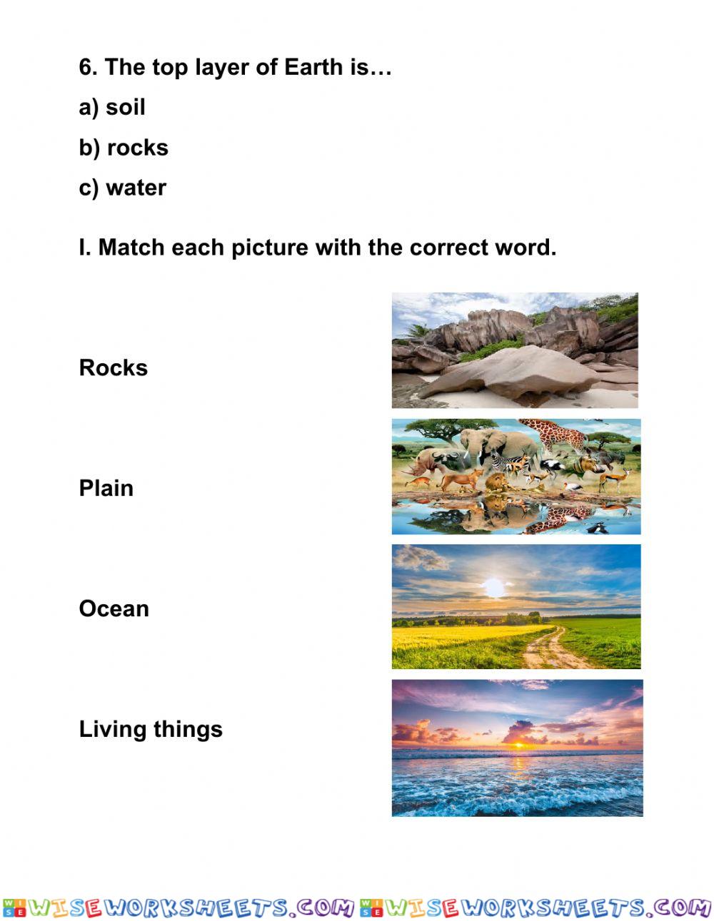 worksheet