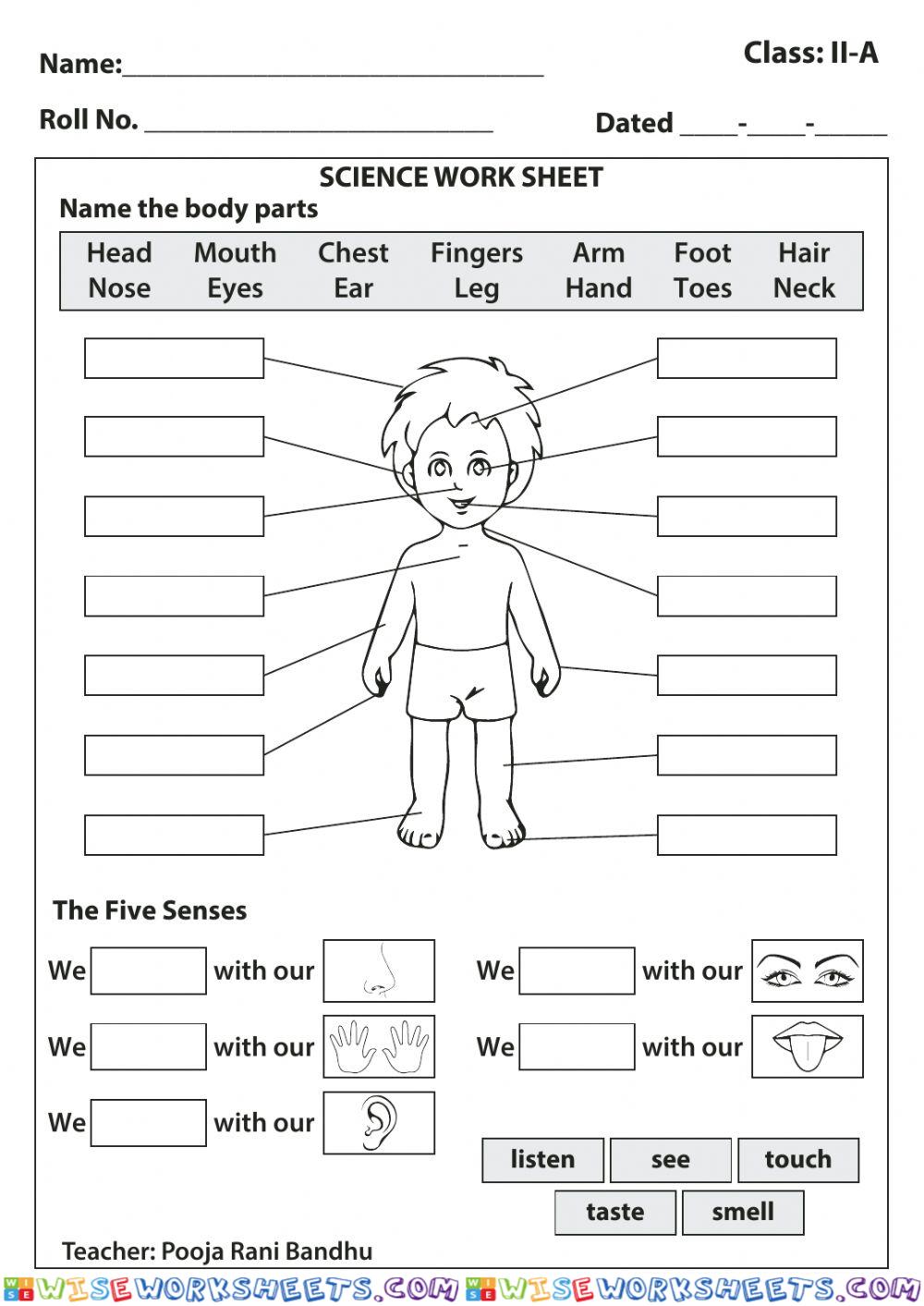 Parts of the body