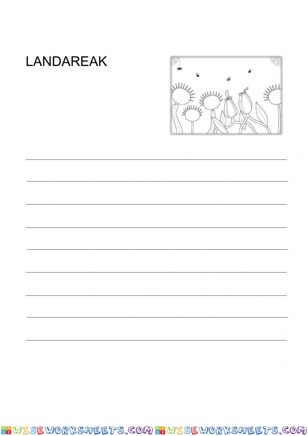 worksheet