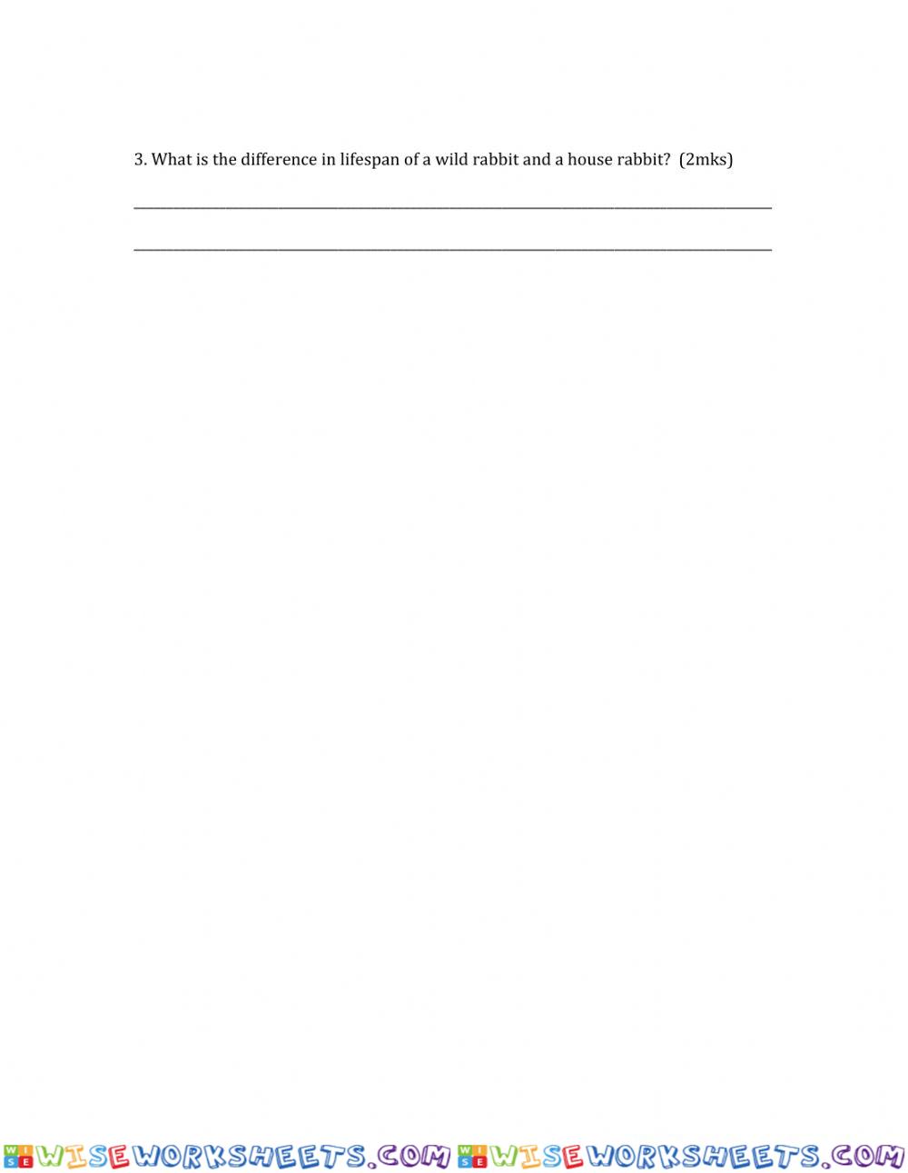 worksheet