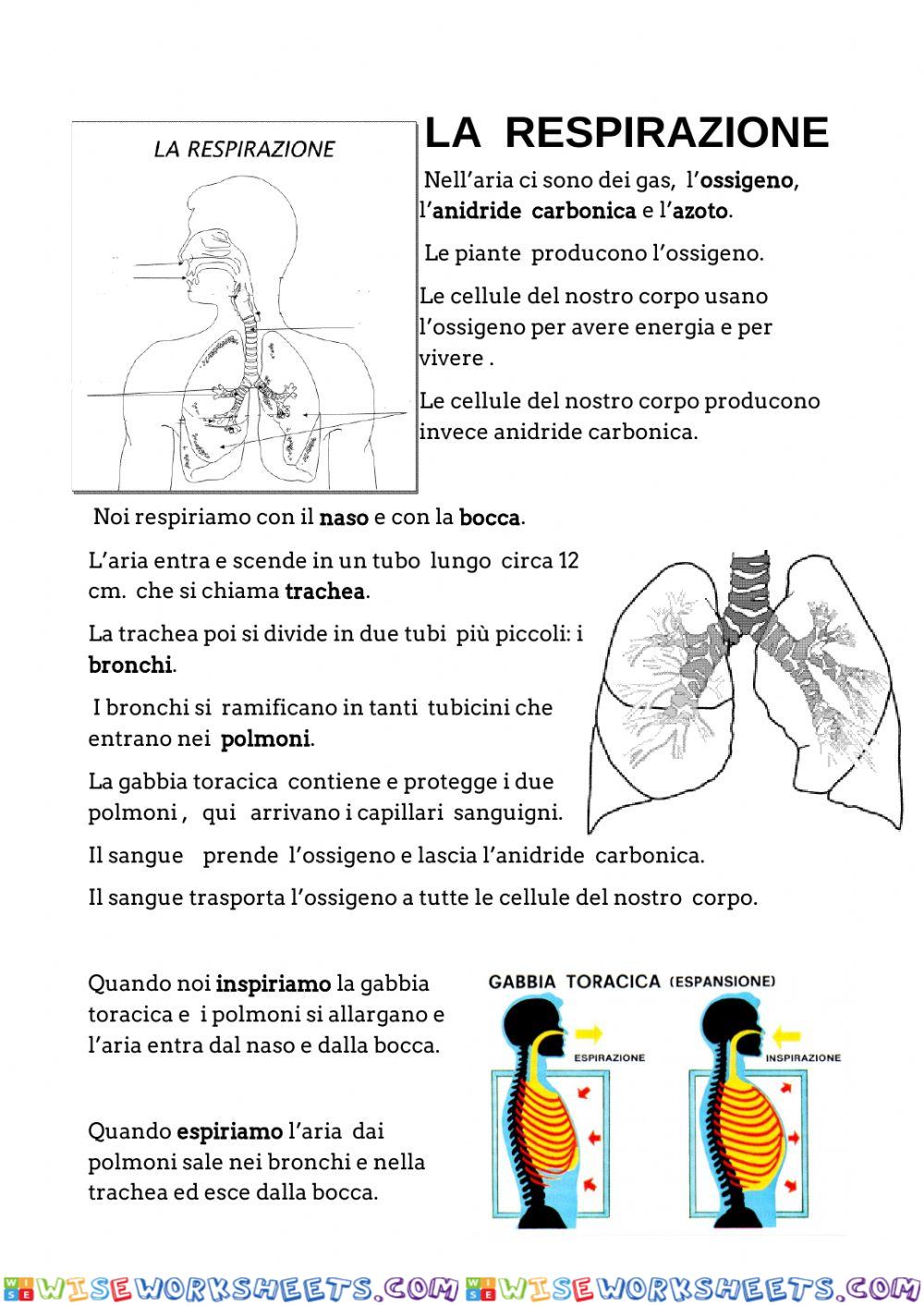 RESPIRAZIONE