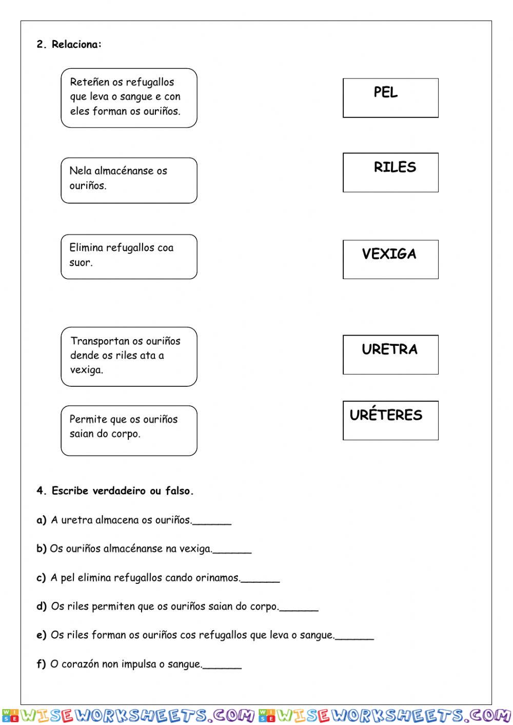 worksheet