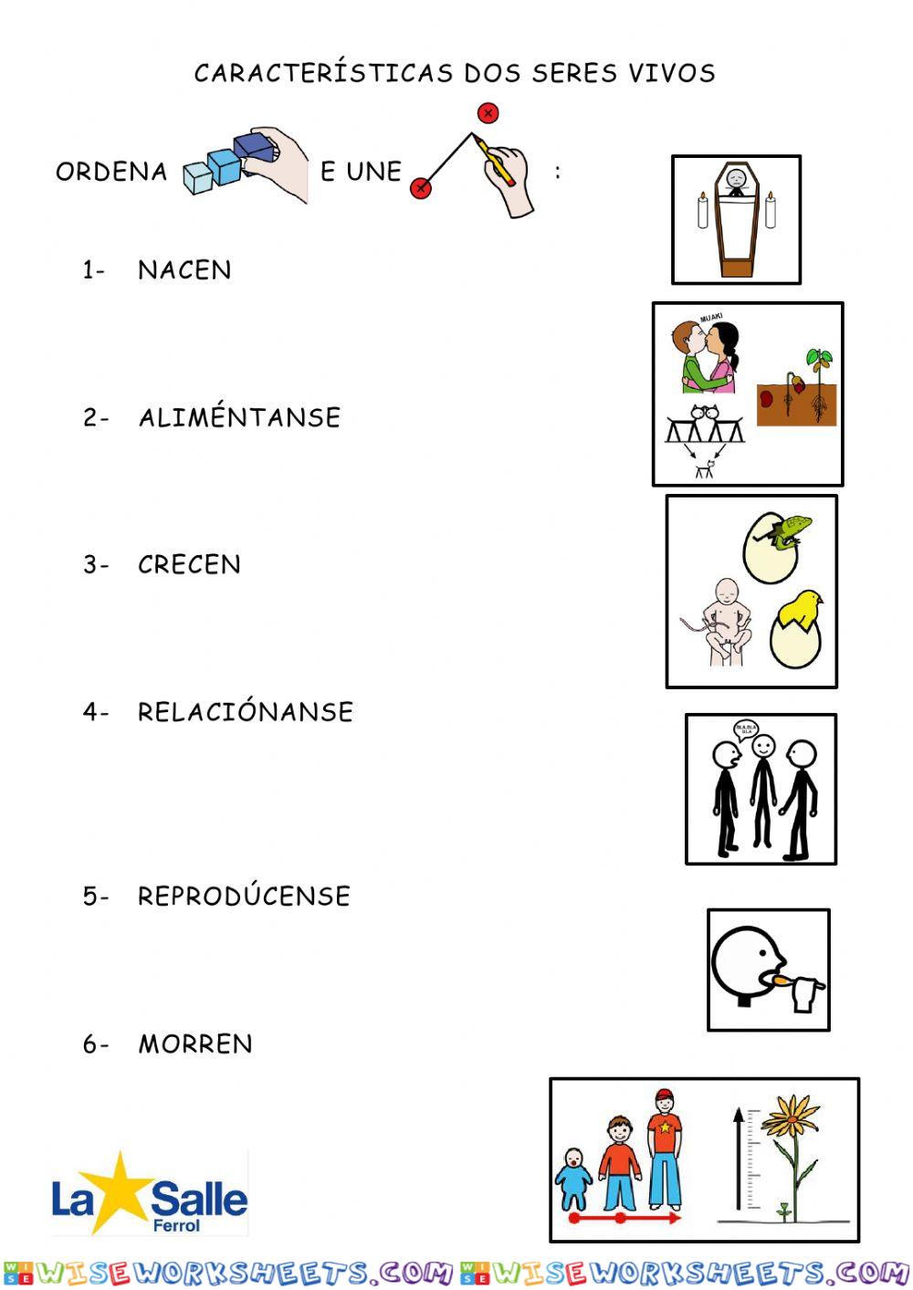 Características dos seres vivos