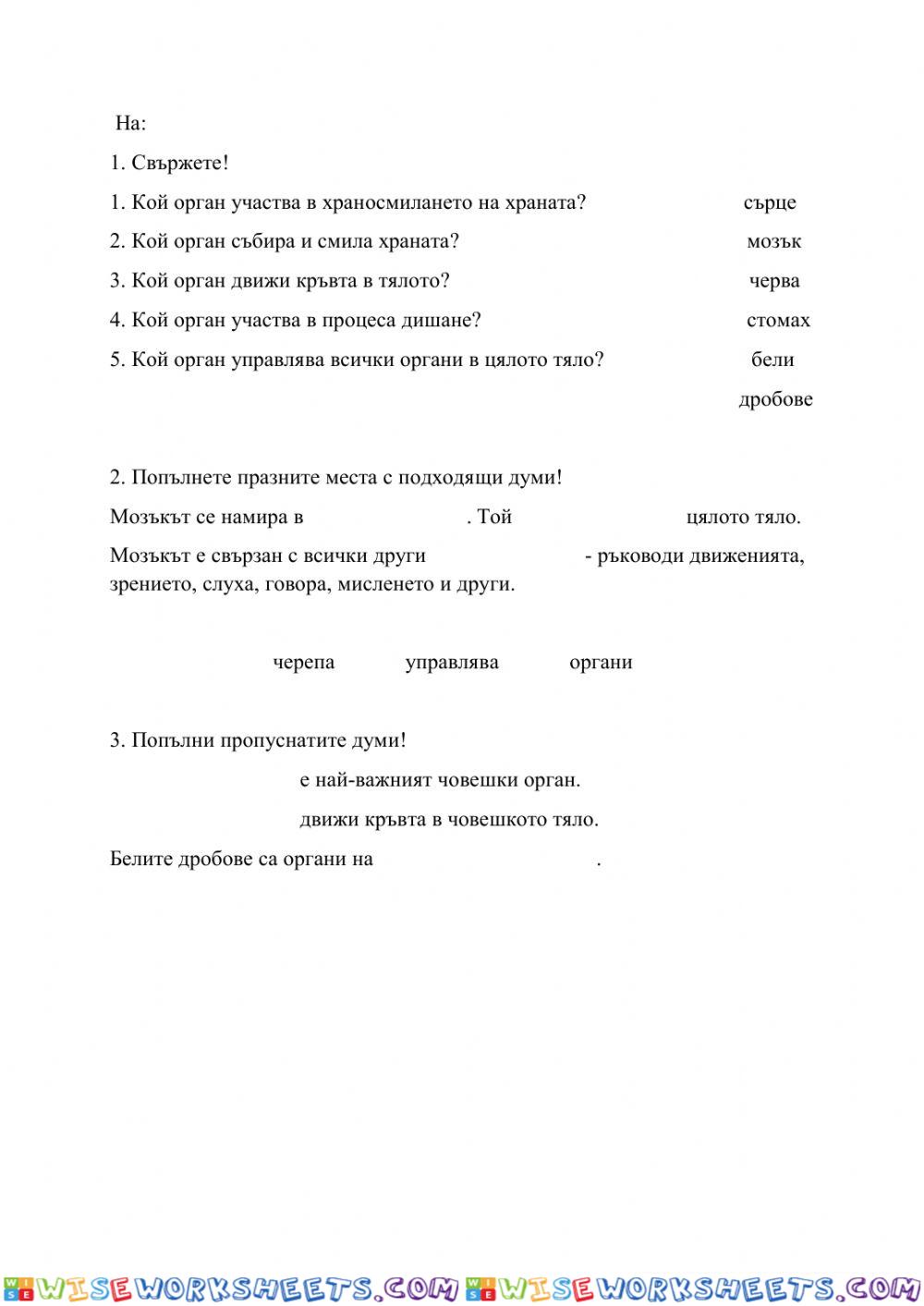 Органи в човешкото тяло