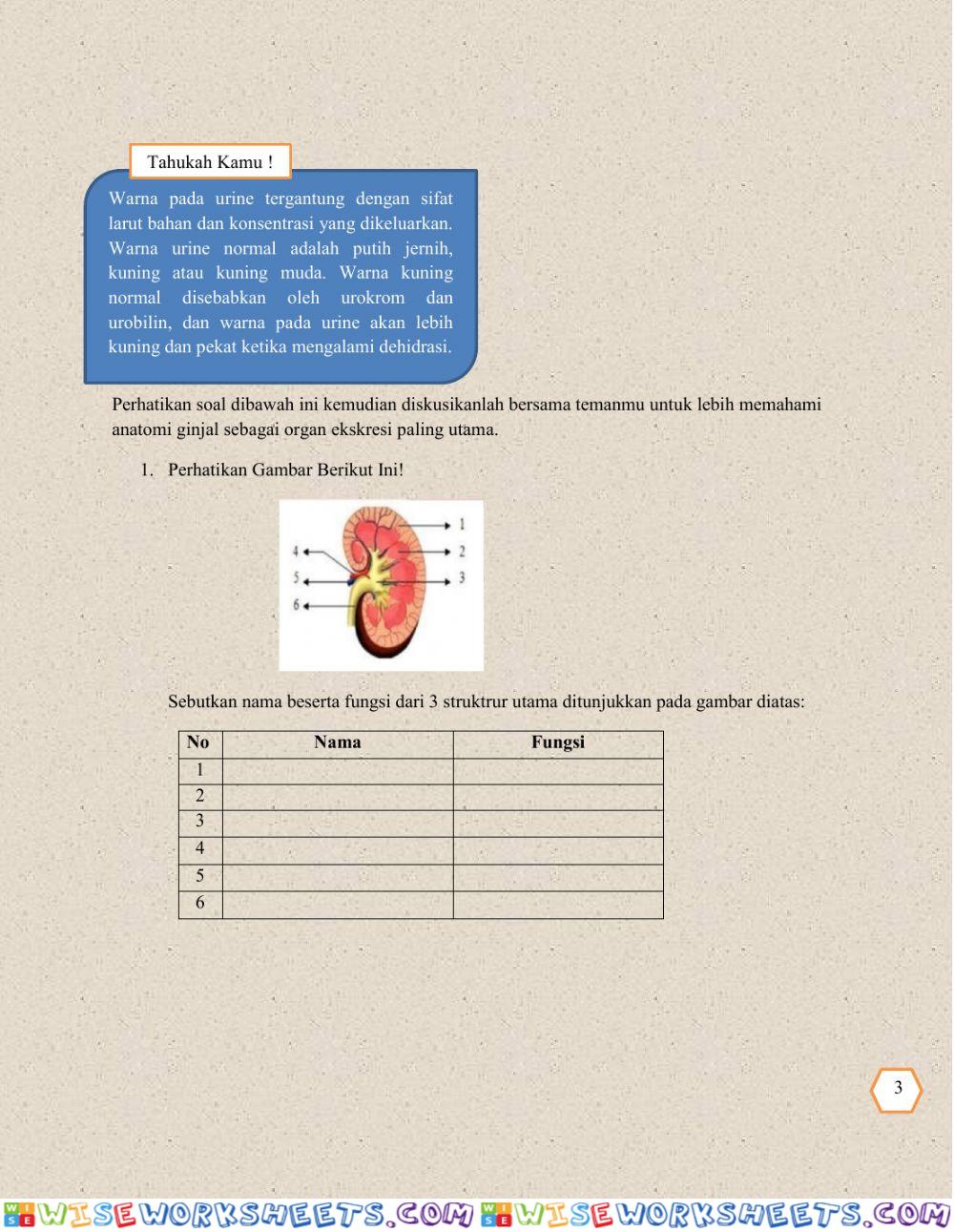 worksheet