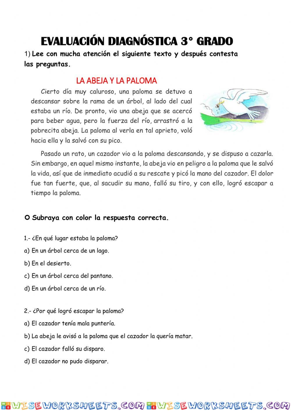 Evaluación diagnóstica - nuevo chimbote