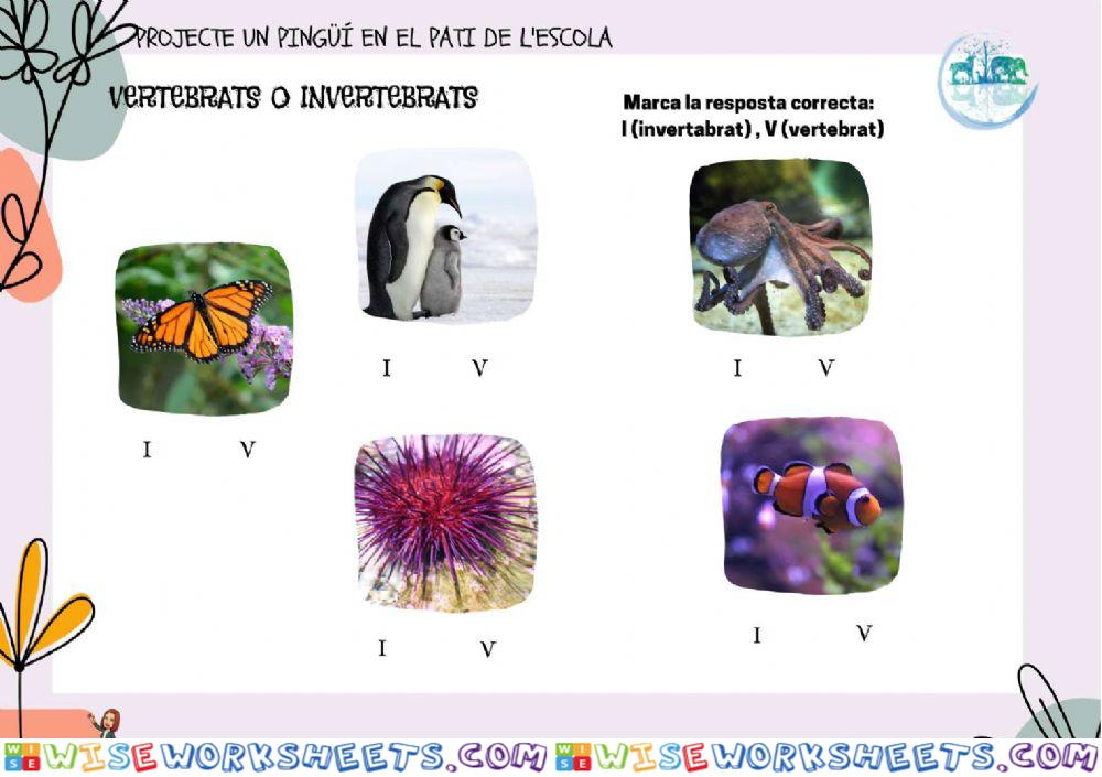 5è-MN-PJ-PE-6C Prova vertebrats-invertebrats