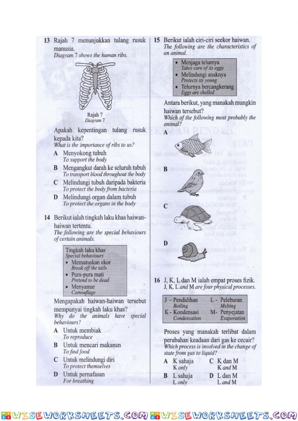 worksheet
