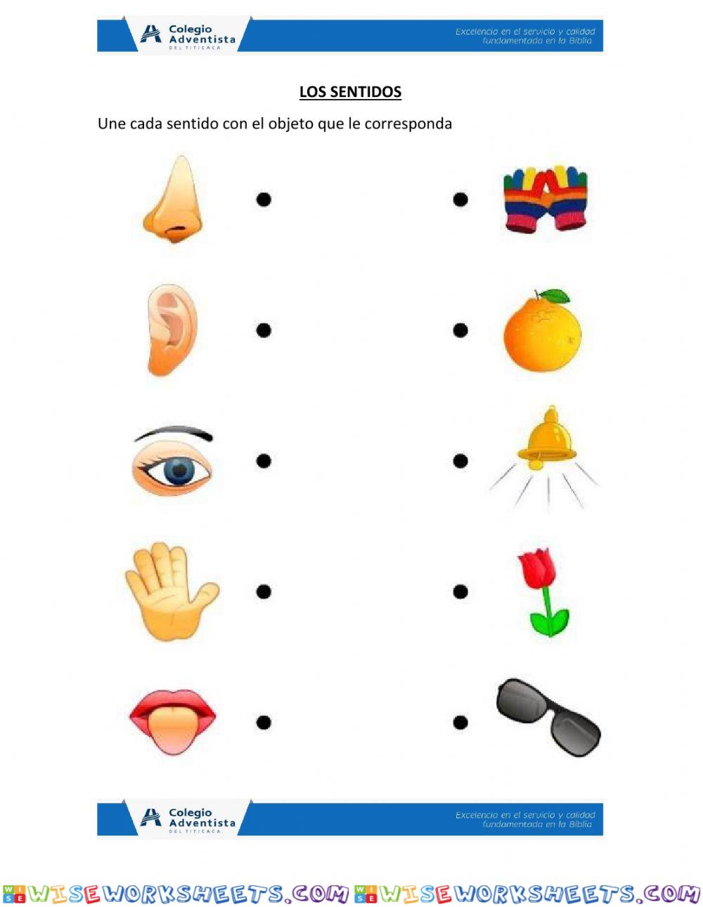 Los sentidos