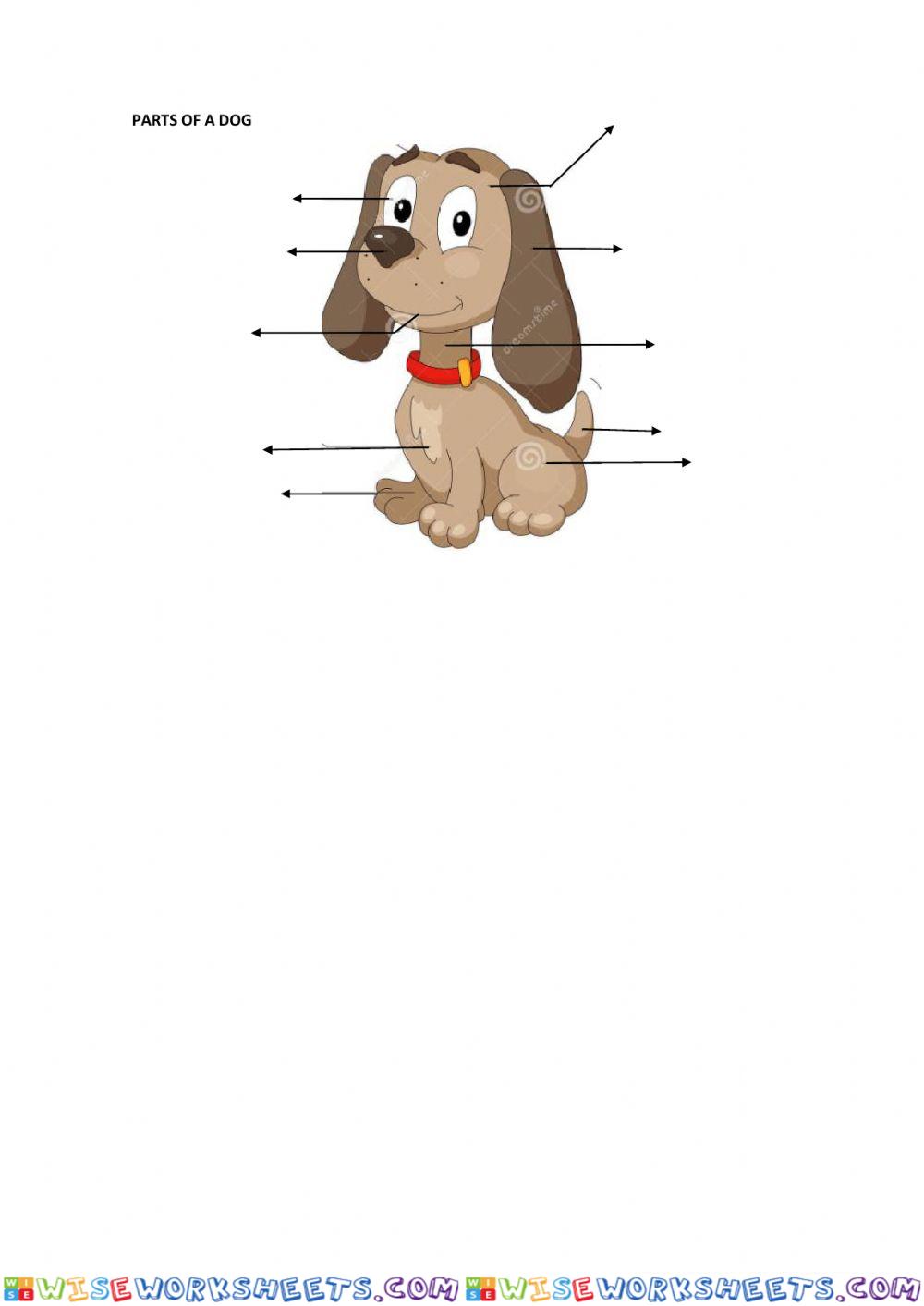 Dog-s body parts drop down select box